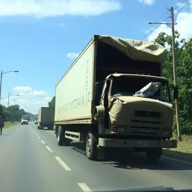 carga de caminhão