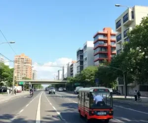 Rodoanel